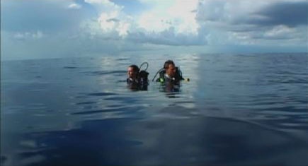 Open Water Widescreen DVD w/Chapter Insert - Blanchard Ryan - Daniel T